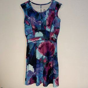 Title Nine - Watercolor Dream Dress - XS